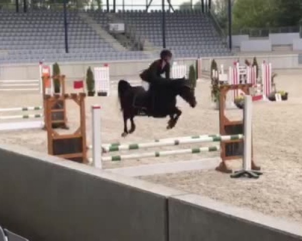 Video von Fine Vicky