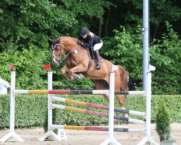 jumper Balou du Rouet (Westphalian, 2003, from Balou du Rouet)