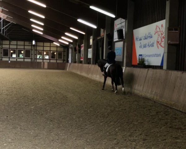 Video of Vitalino Db