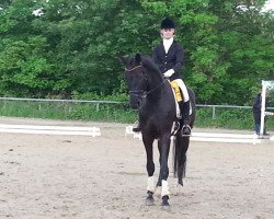 dressage horse Rich Royal D (Westphalian, 2010, from Riccio)