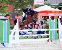 Springpferd Easy Top (Pony ohne Rassebezeichnung, 2007)