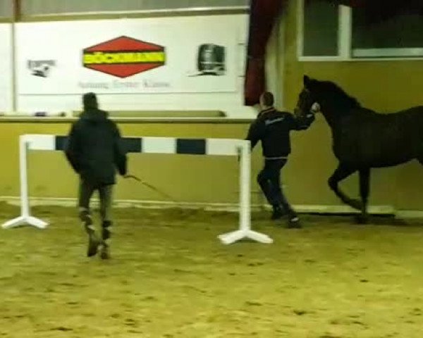 Video von Babalou Vk