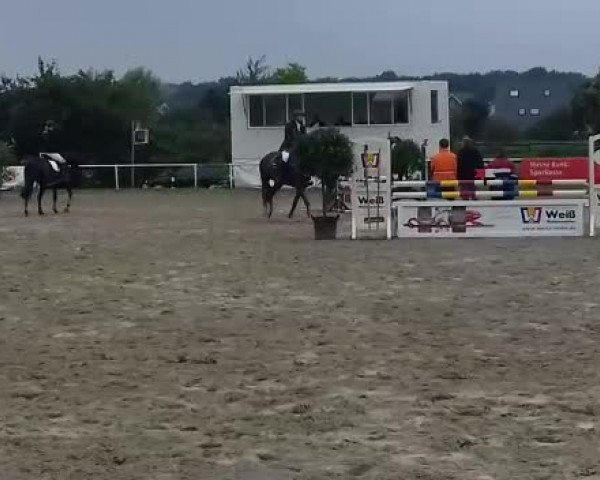 Video of Iron Dames Cala Mandia NRW