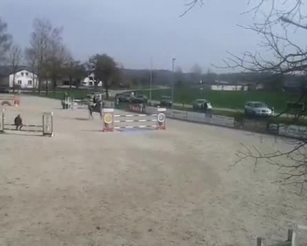 Video von Es Beunder