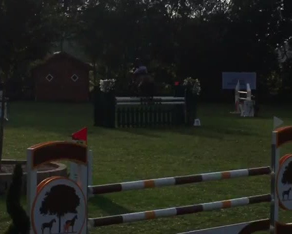 Video of Cashmere Touch