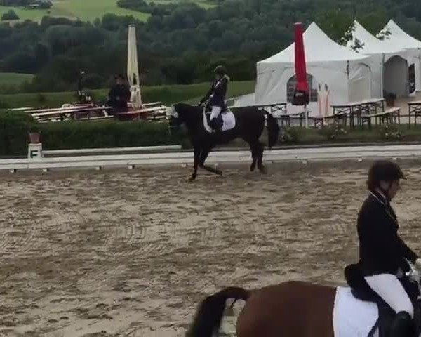 Video of Edna 11