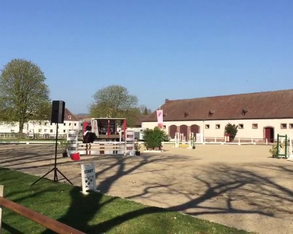 Video of Edna 11