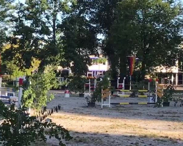 Video von Fine Vicky