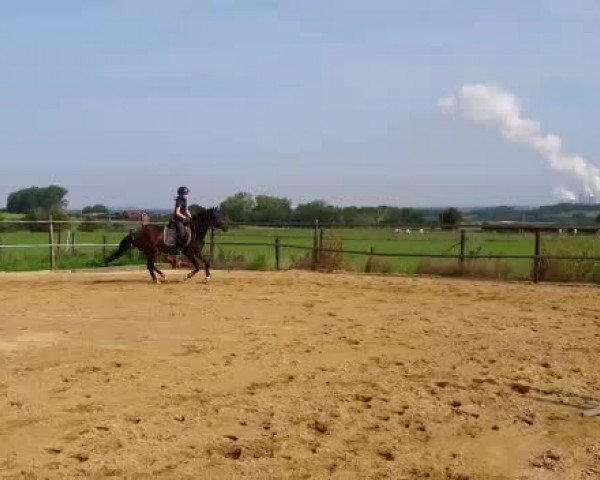 Video von Fine Vicky