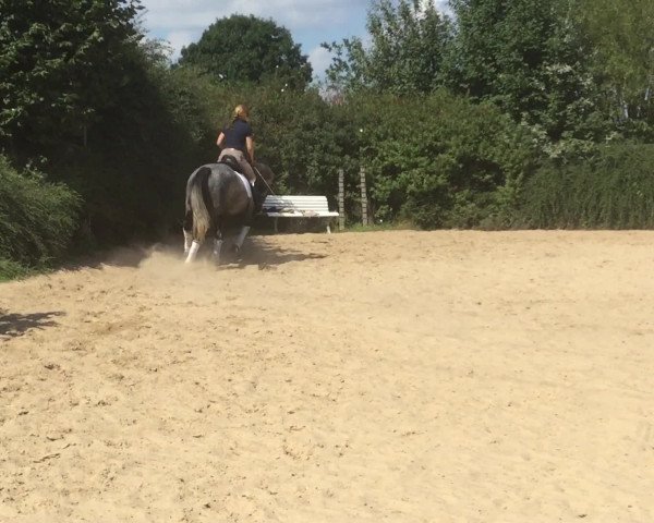 Video of Chris 58