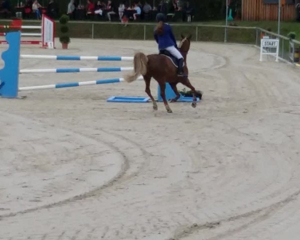 Video of Jimmy 310