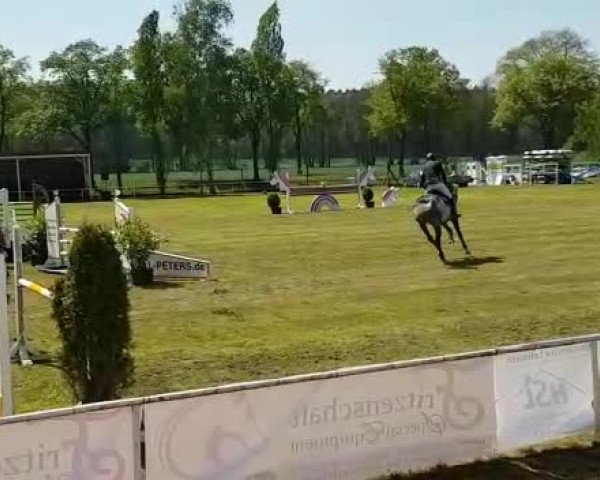 Video di Clintall