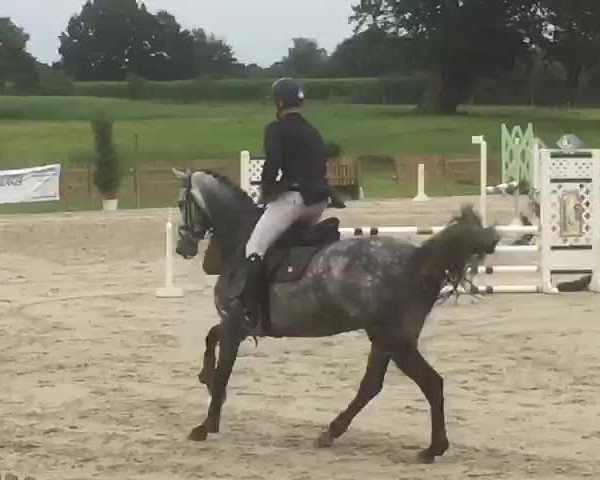 Video of Consalic