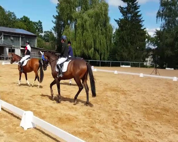 Video of Conaro 3