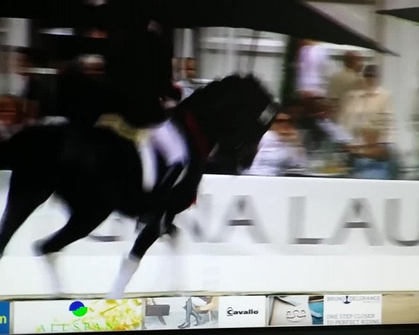 Video of Mdm Zodiac OLD