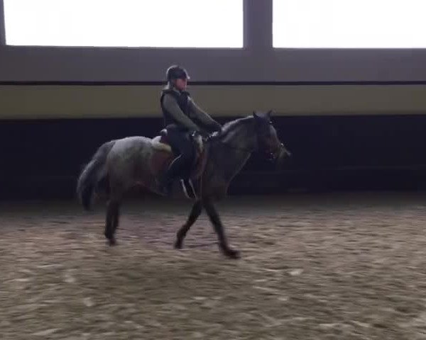 Video von Diva Donna