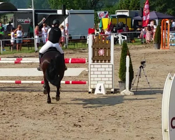 Reitturnier Bornheim-Widdig 2017