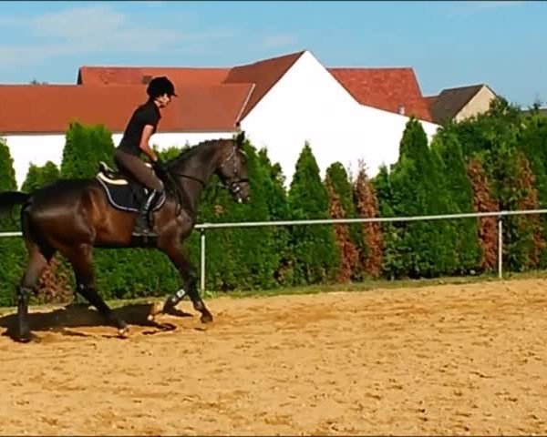 Video of Conway 24