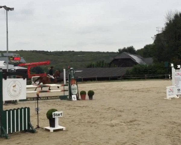 Video of Aletta CBS
