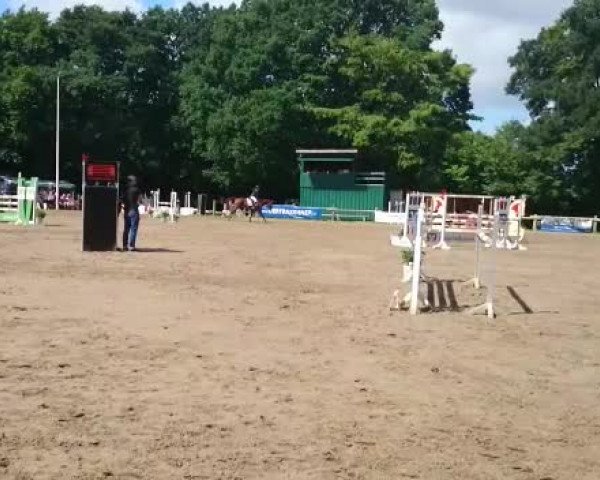 Video of Peppermint
