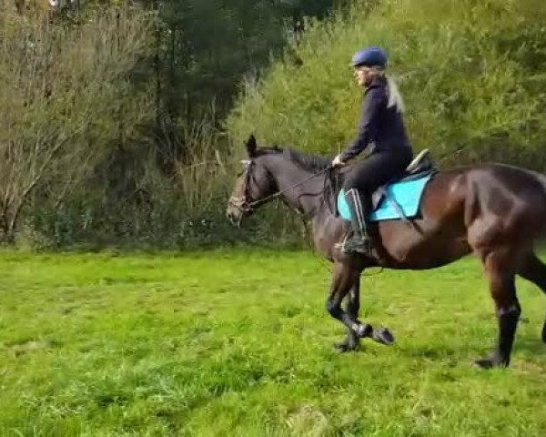 Video of Grisette