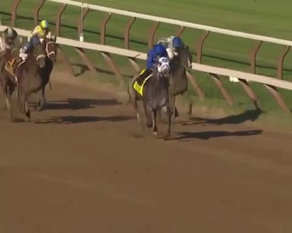 Video of Frosted xx