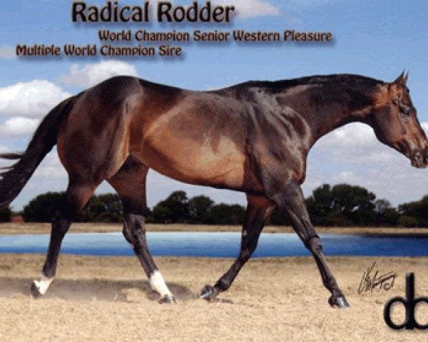 stallion Radical Rodder (Quarter Horse, 1991, from Hotrodders Jet Set)