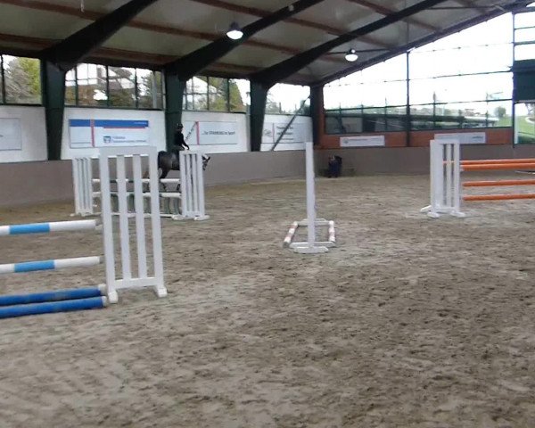 Video of Confido V.D.R