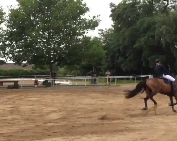 Video of Atlantic V