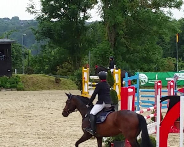 Reitturnier Lohmar-Hausdorp 2017