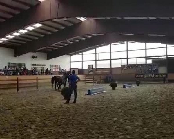 Video von Dariana Z