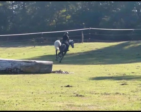 Video of Confido V.D.R