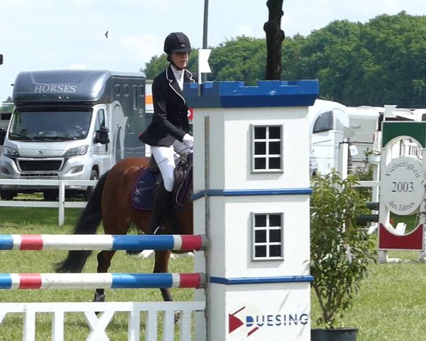 Video of Timms Sanssouci