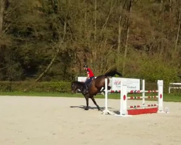 Video von Fobke HH