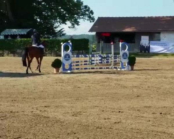 Video of Cassini Brown