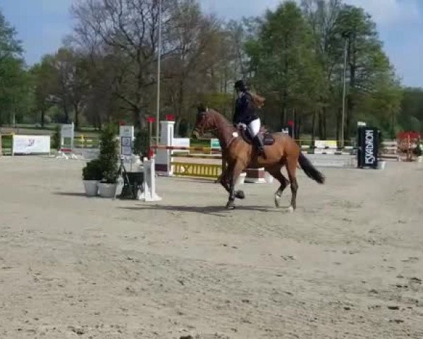 Video of Azzaro 41