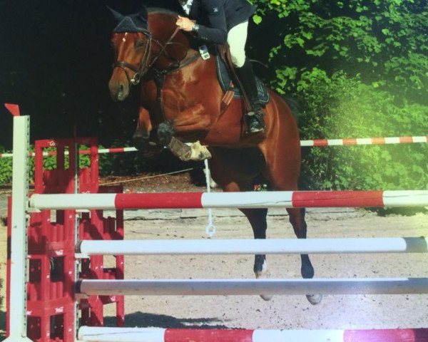 jumper Cabiria M (Rhinelander, 2008, from Captain Fire)