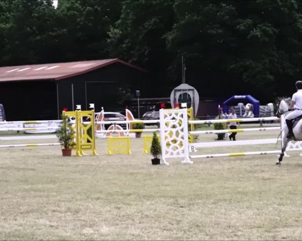 Video of Connor