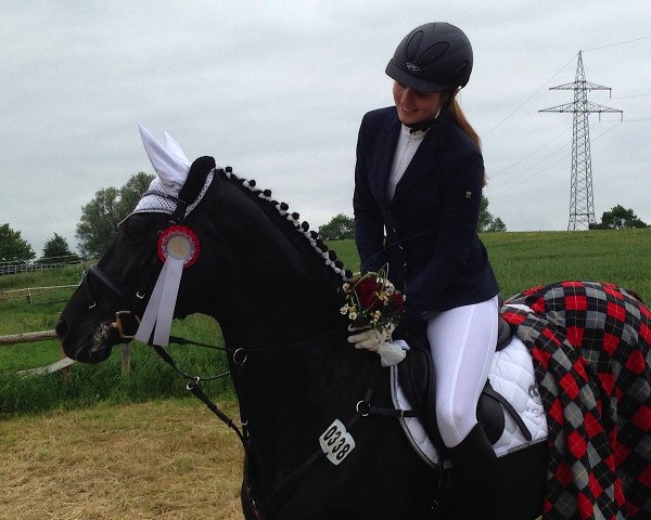 jumper Dornröschen 109 (Hanoverian, 2001, from Dacaprio)