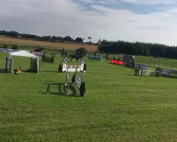 Video of Cayenne CA