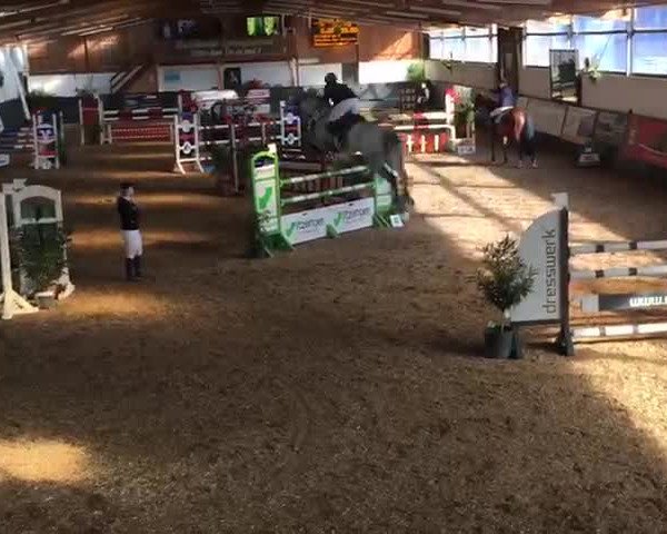 Reitturnier Havekost 2016