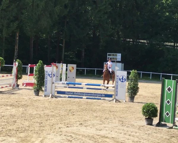 Video of Looping Louis 2