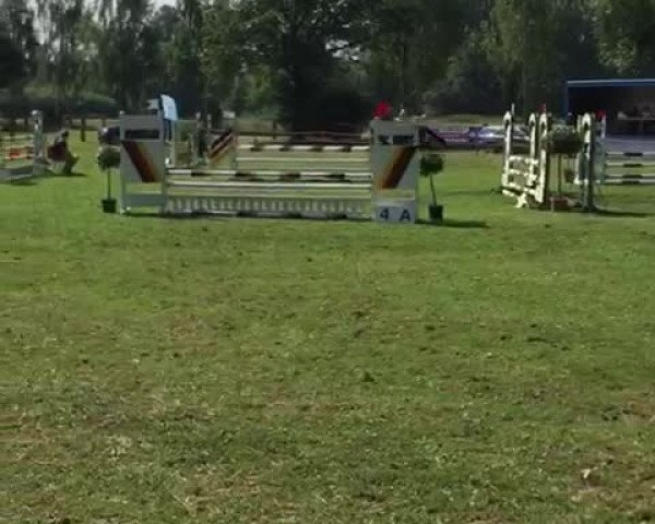 Video von Hummel