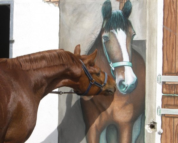 dressage horse De Ville SP (Westphalian, 2005, from Damon Hill)