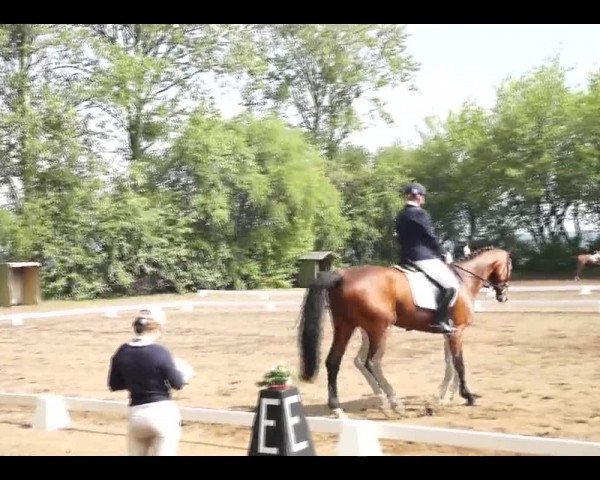 Video von Belissa