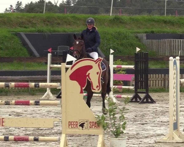 Reitturnier Schülp / Rendsburg 2021