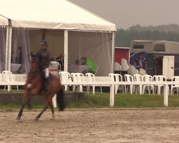 Video von uno