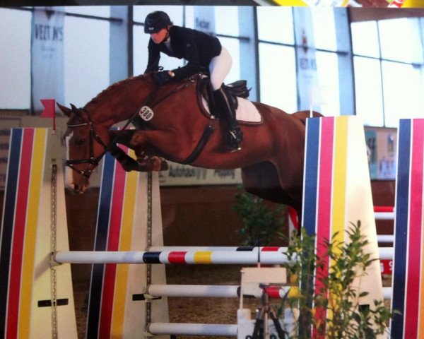 jumper Sweet Cherie (Hanoverian, 2009, from Stolzenberg)