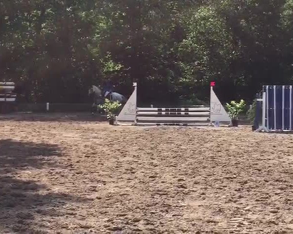Video of Charlotte 216