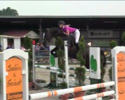 broodmare Air Luzi R (Zangersheide riding horse, 2008, from Air Jordan Z)